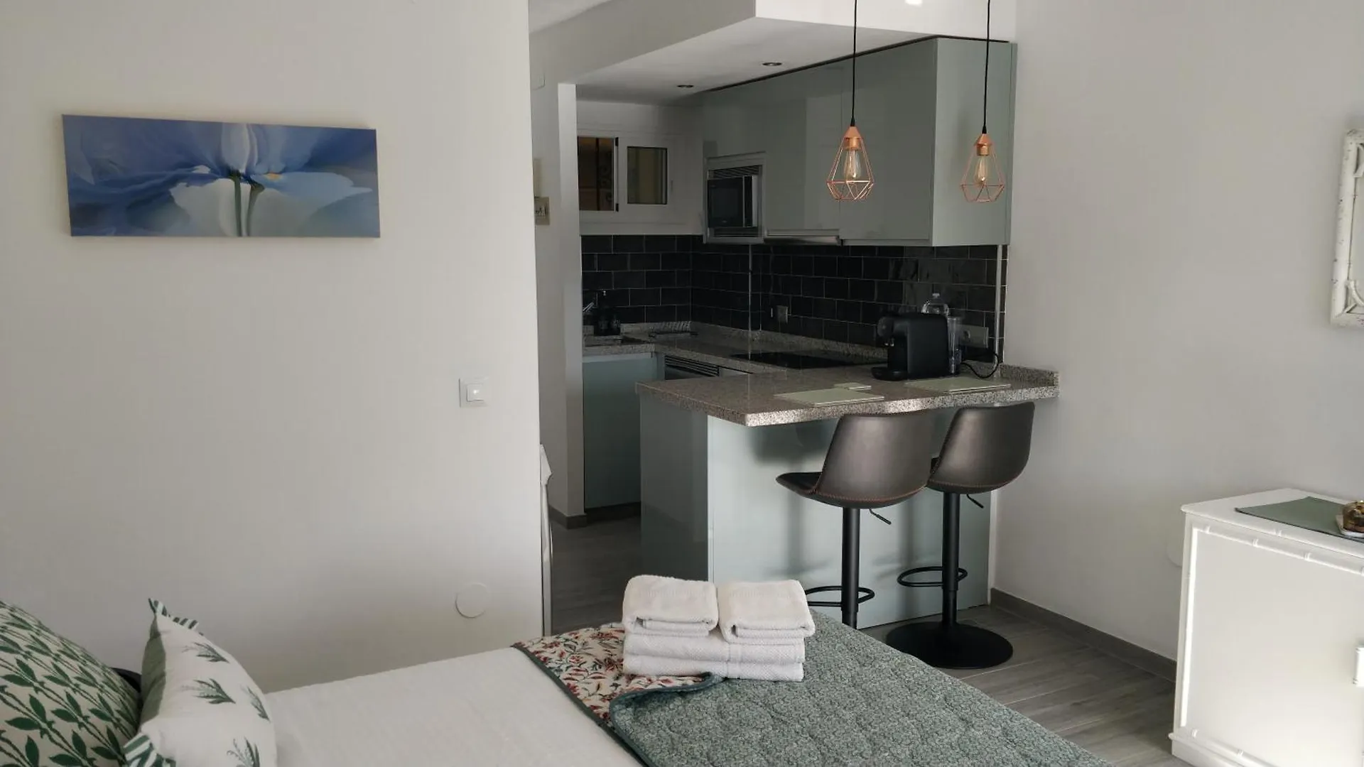 Jupiter Rmli Mint Studio Benalmádena Apartman